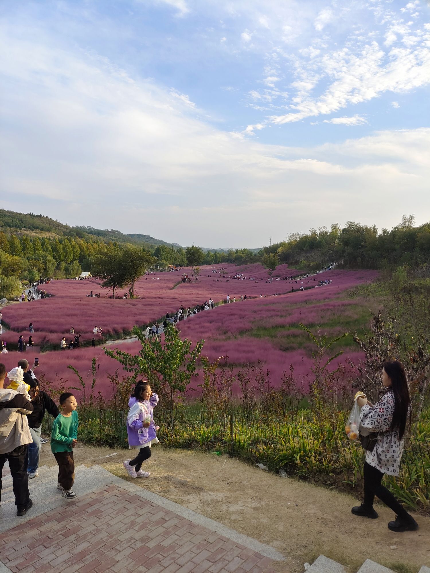 紫山公园旅行图片 1