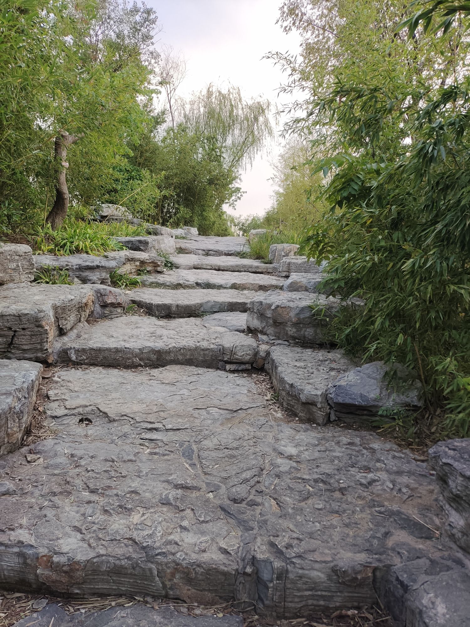 紫山公园旅行图片 3