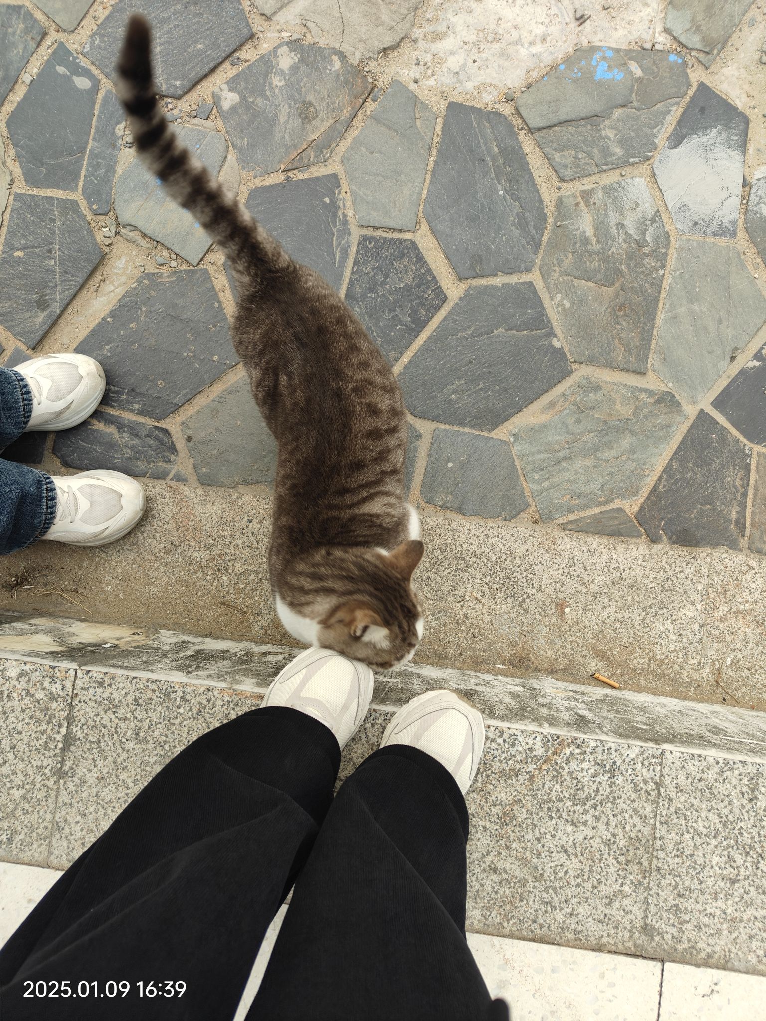 丹湾观景平台旅行图片 3