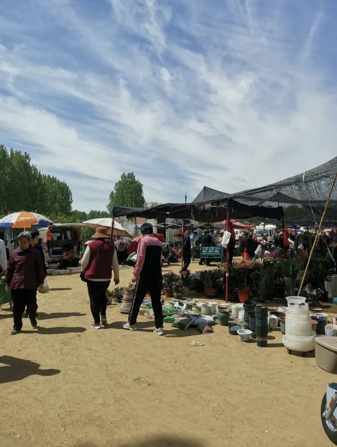 隐珠大集管理中心旅行图片 1