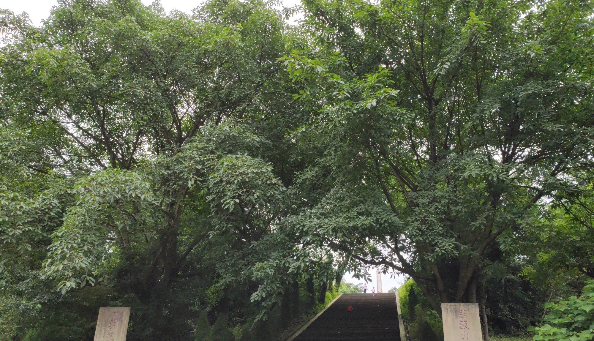 重庆荣昌铜鼓山景区旅行图片 1