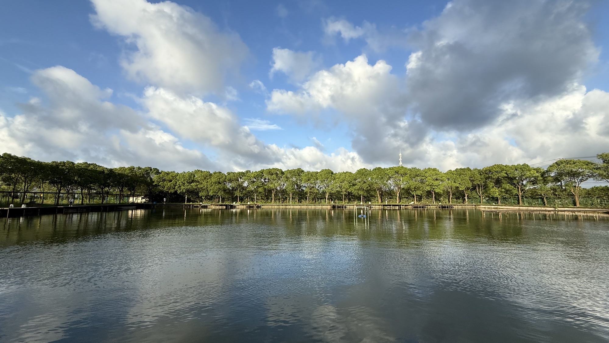 新怡路亚垂钓园