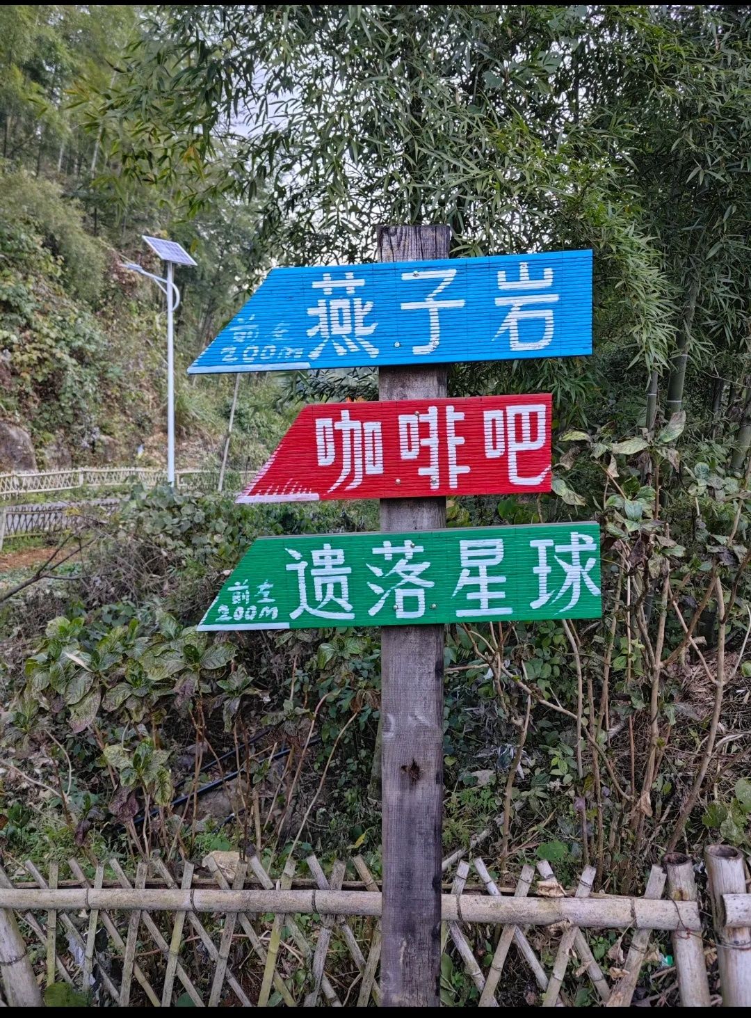 燕子岩峰景区旅行图片