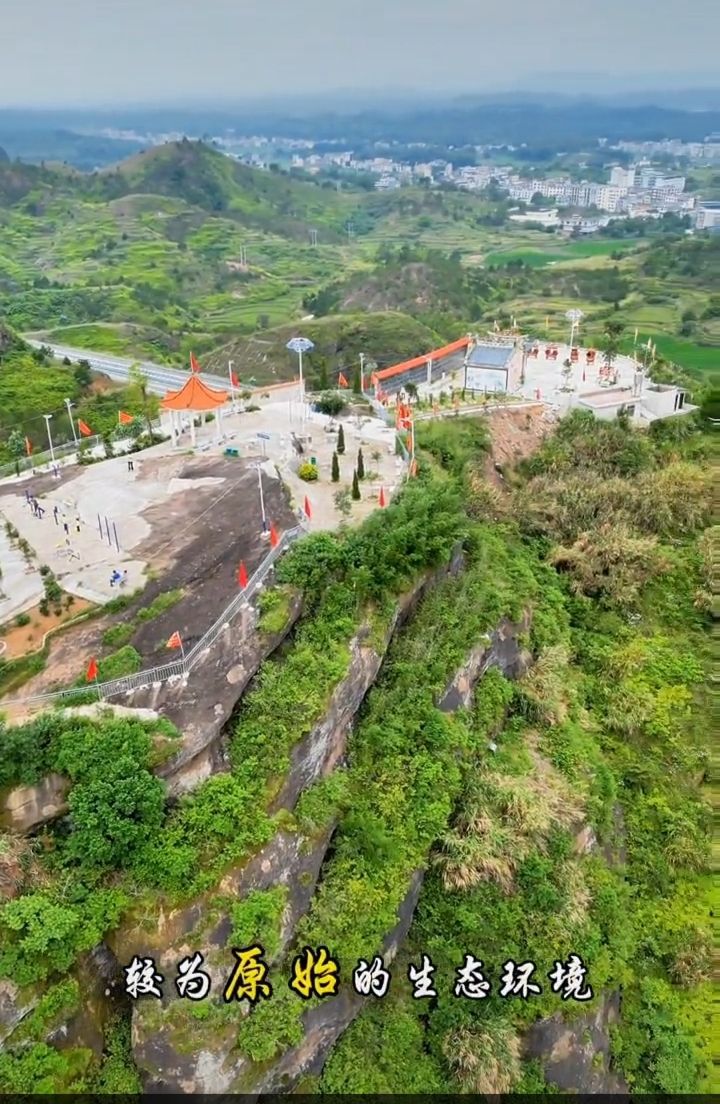 燕子岩峰景区旅行图片 3