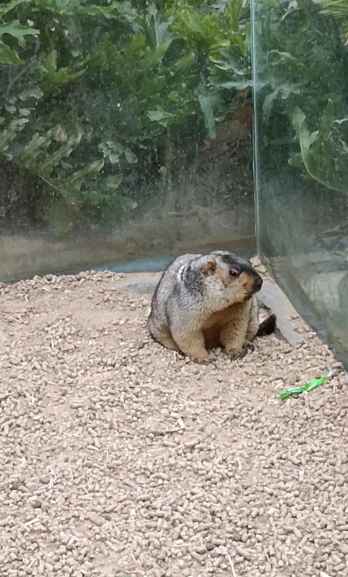 商部落雨林生态植物园旅行图片 3