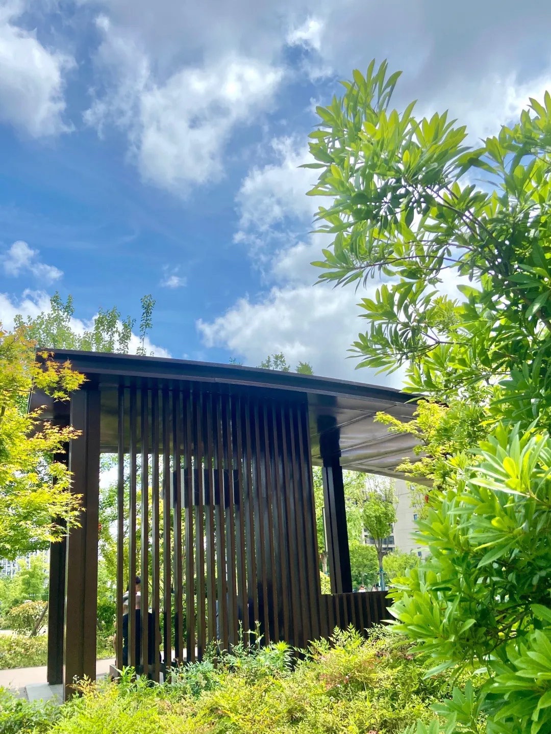 重固文心公园旅行图片 2