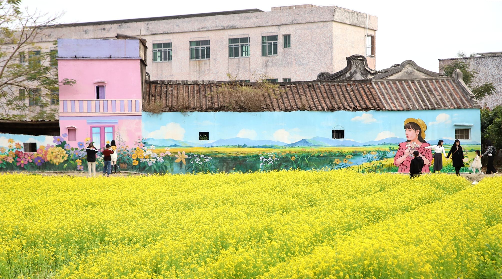 金灶花园村油菜花海旅行图片 2