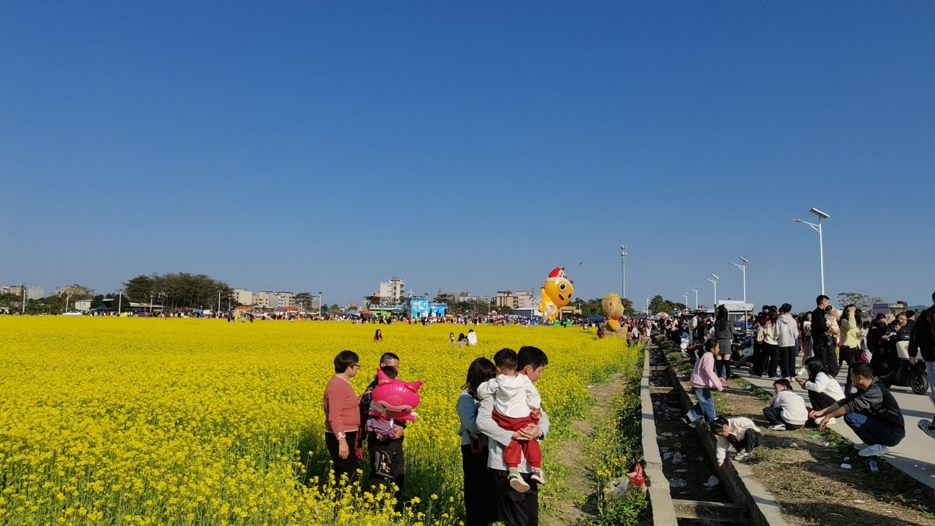 金灶花园村油菜花海旅行图片 2