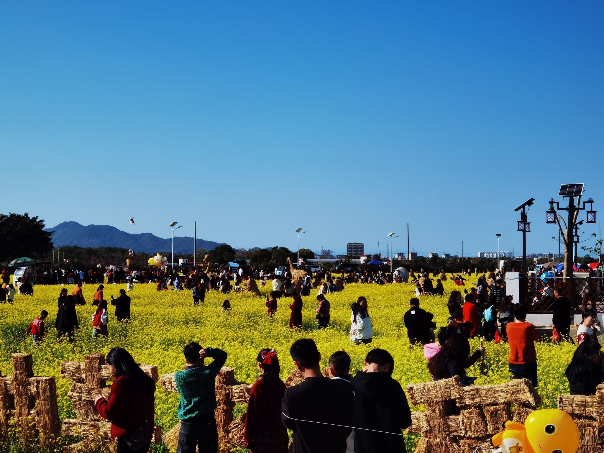 金灶花园村油菜花海旅行图片 2