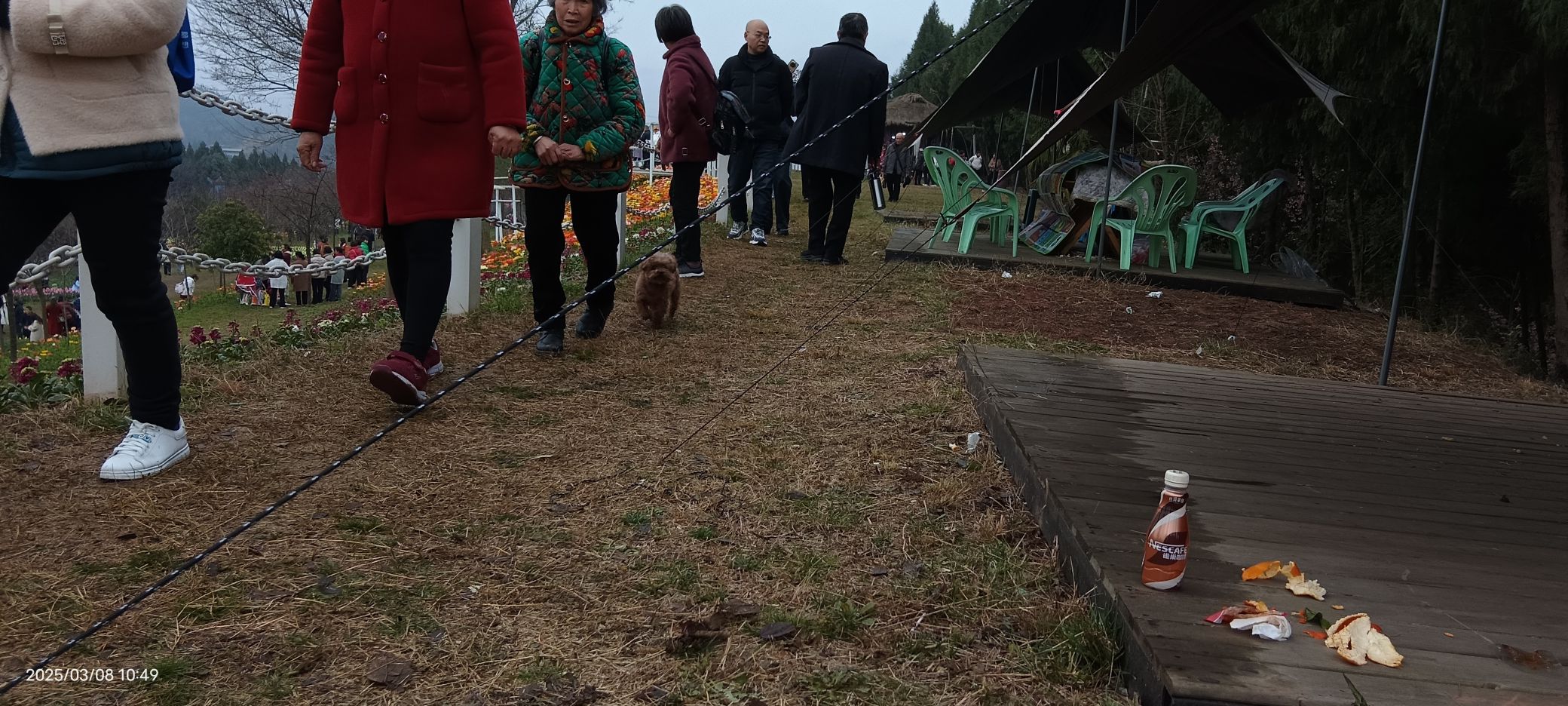 川西花海大世界旅行图片 1