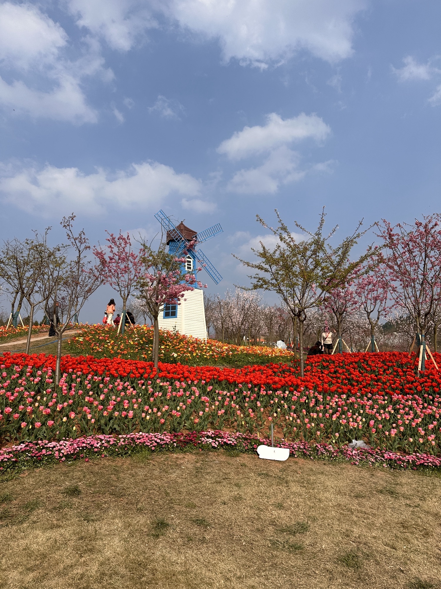 川西花海大世界旅行图片 2