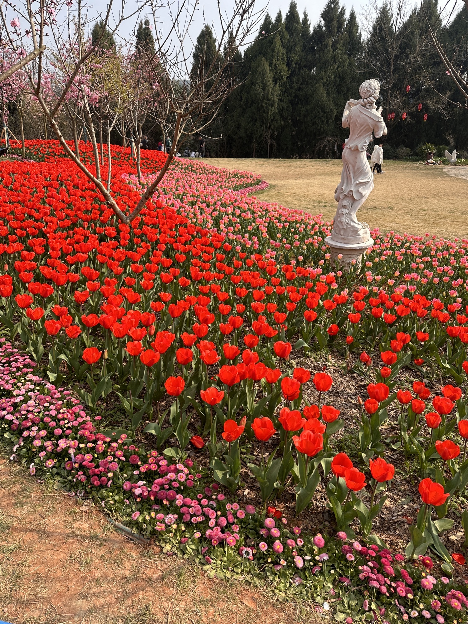 川西花海大世界旅行图片 1