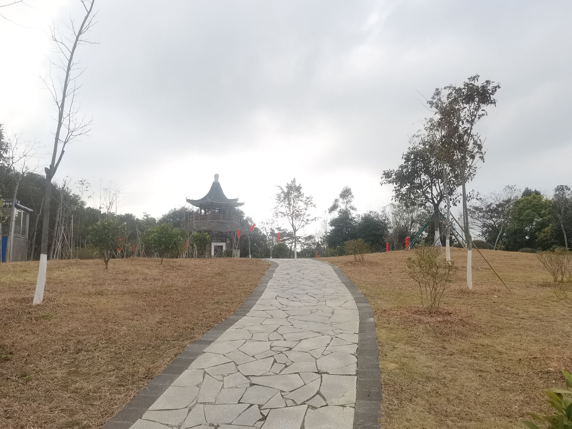 揽胜阁旅行图片 2