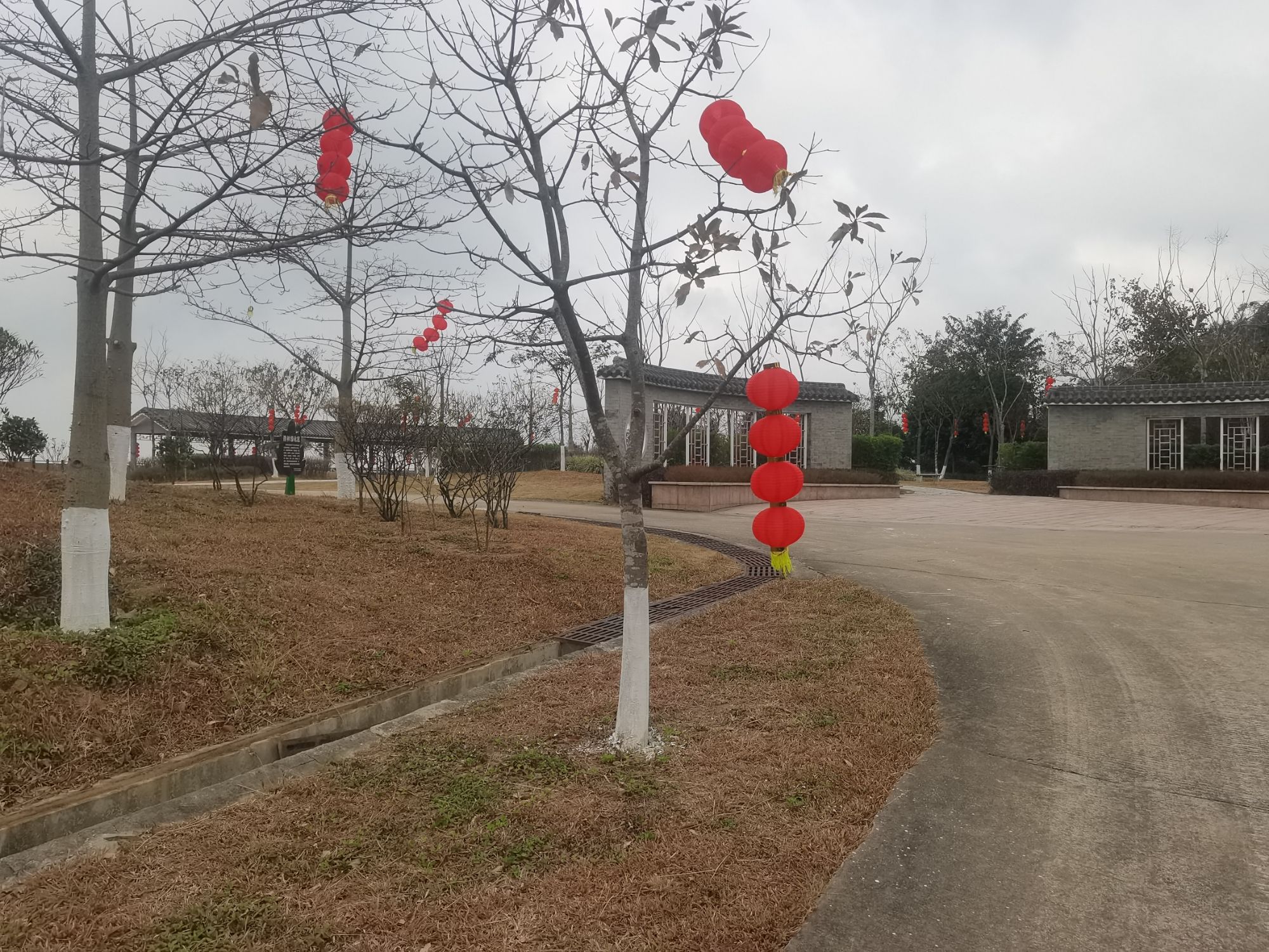 揽胜阁旅行图片 1