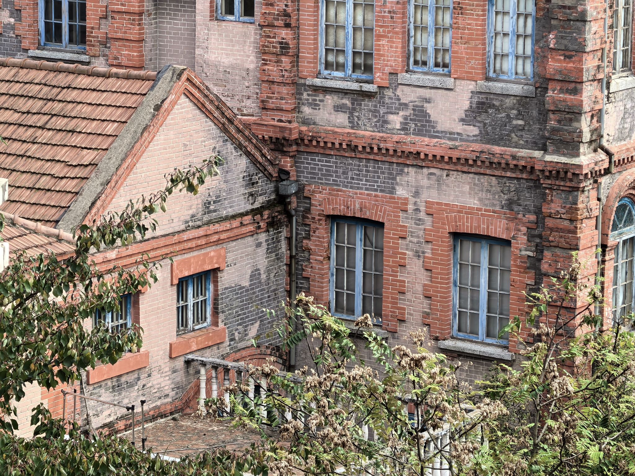 东坎子英国楼旅行图片 2
