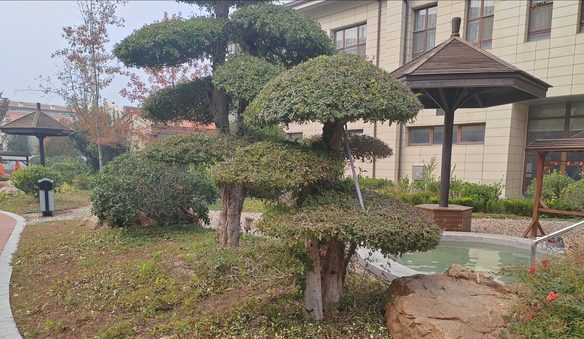 齐河惠工温泉旅行图片 2