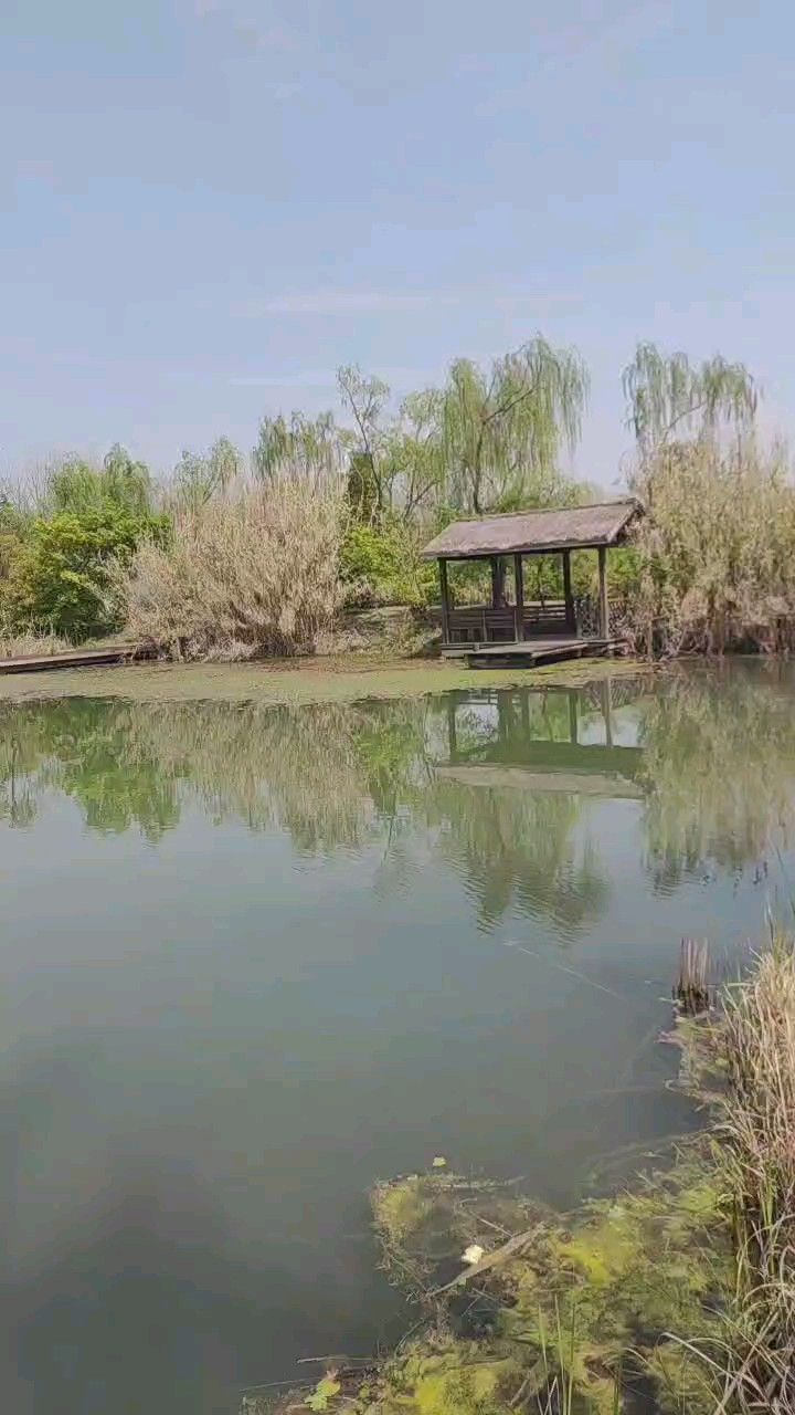 金淞田趣园旅行图片 2