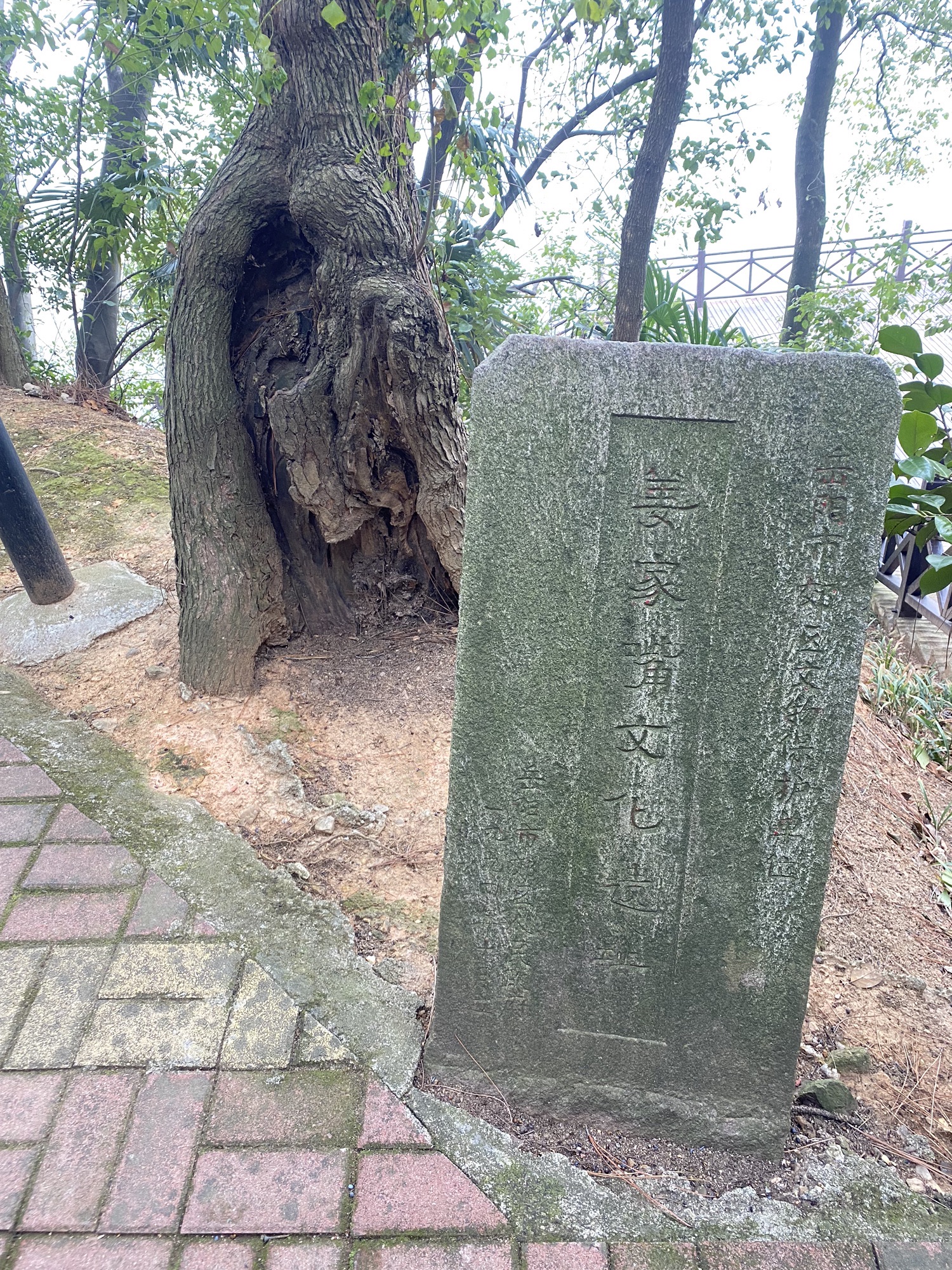 姜家嘴文化遗址旅行图片 1