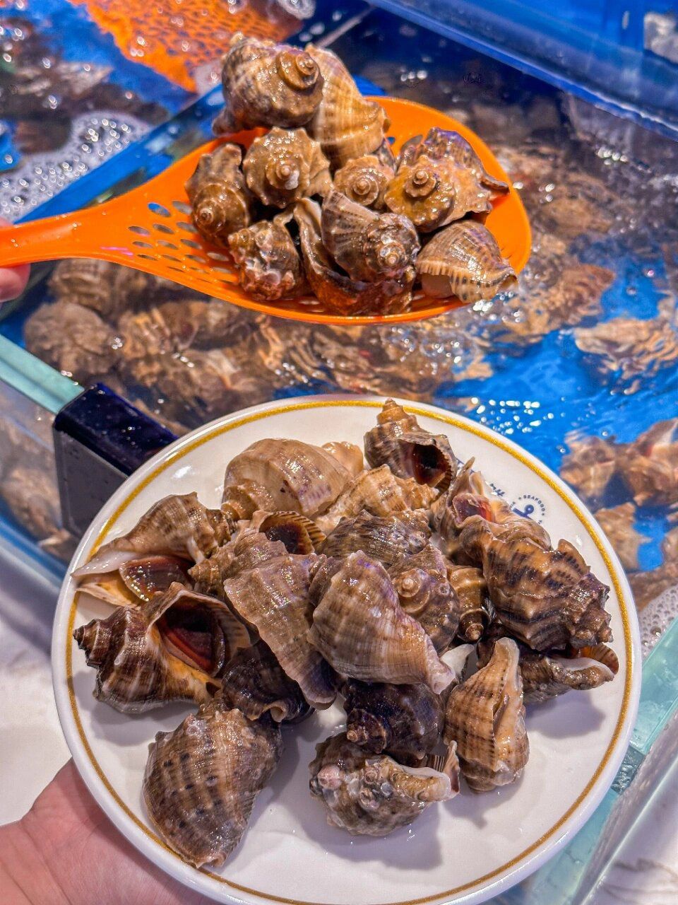 筑尔顿欢乐自助餐厅(吾悦广场娄底店)