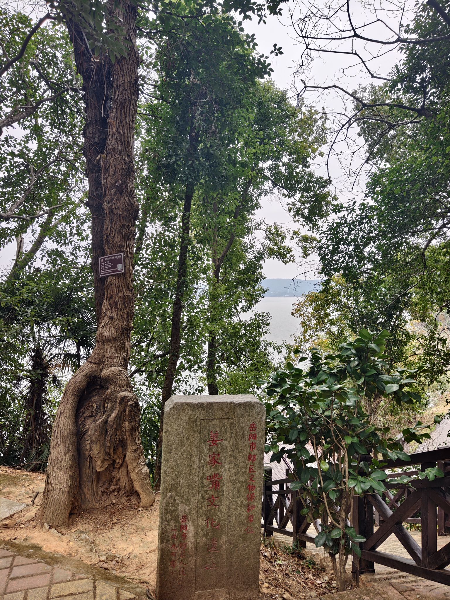 翠影亭旅行图片 3