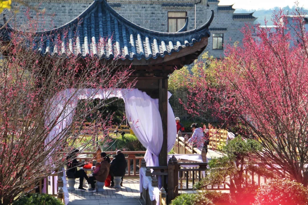 武平县中山镇百家大院旅行图片 3