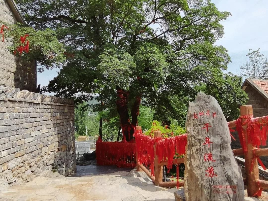 千年流苏旅行图片 3