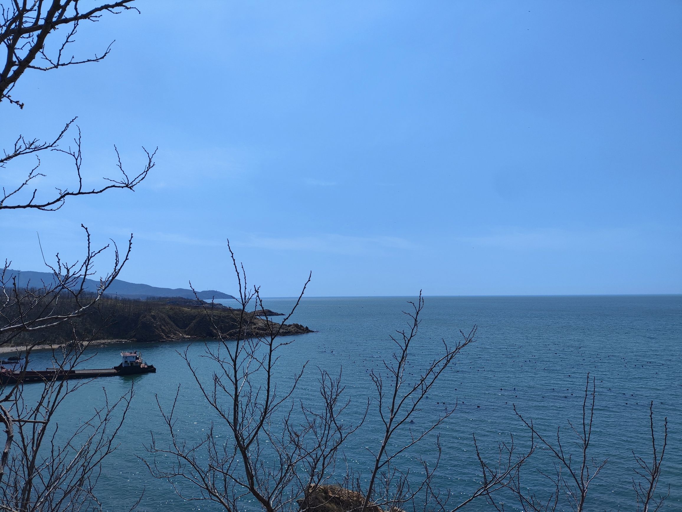 野生观景台旅行图片 2