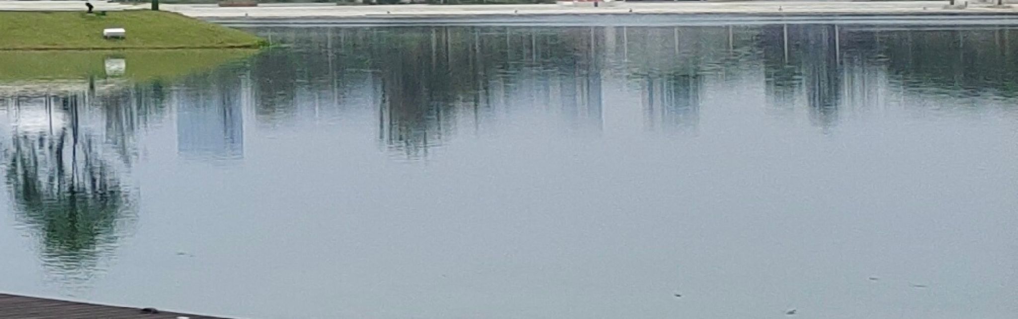 天府旌城英才公园旅行图片 1