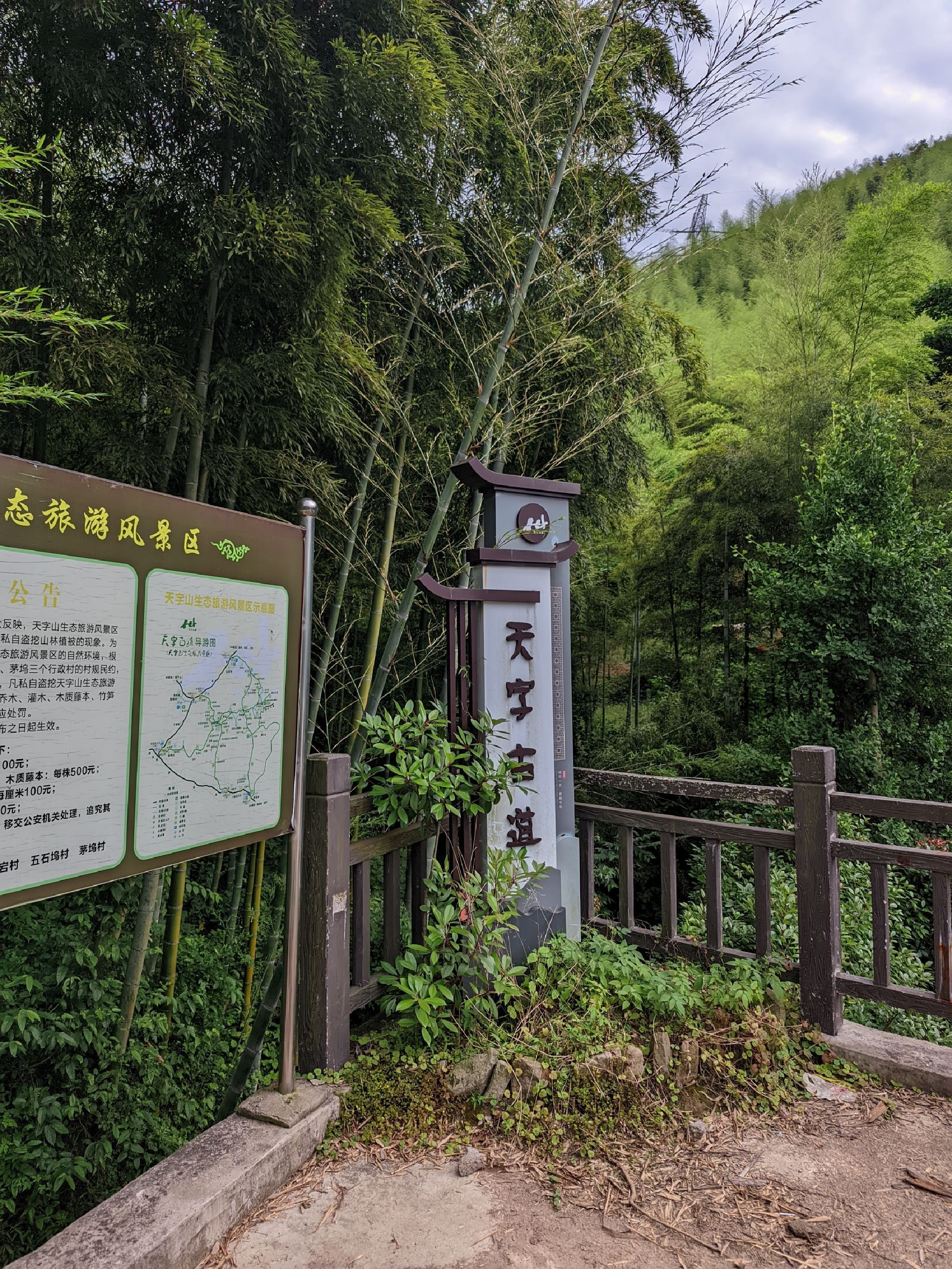 天字古道旅行图片 1