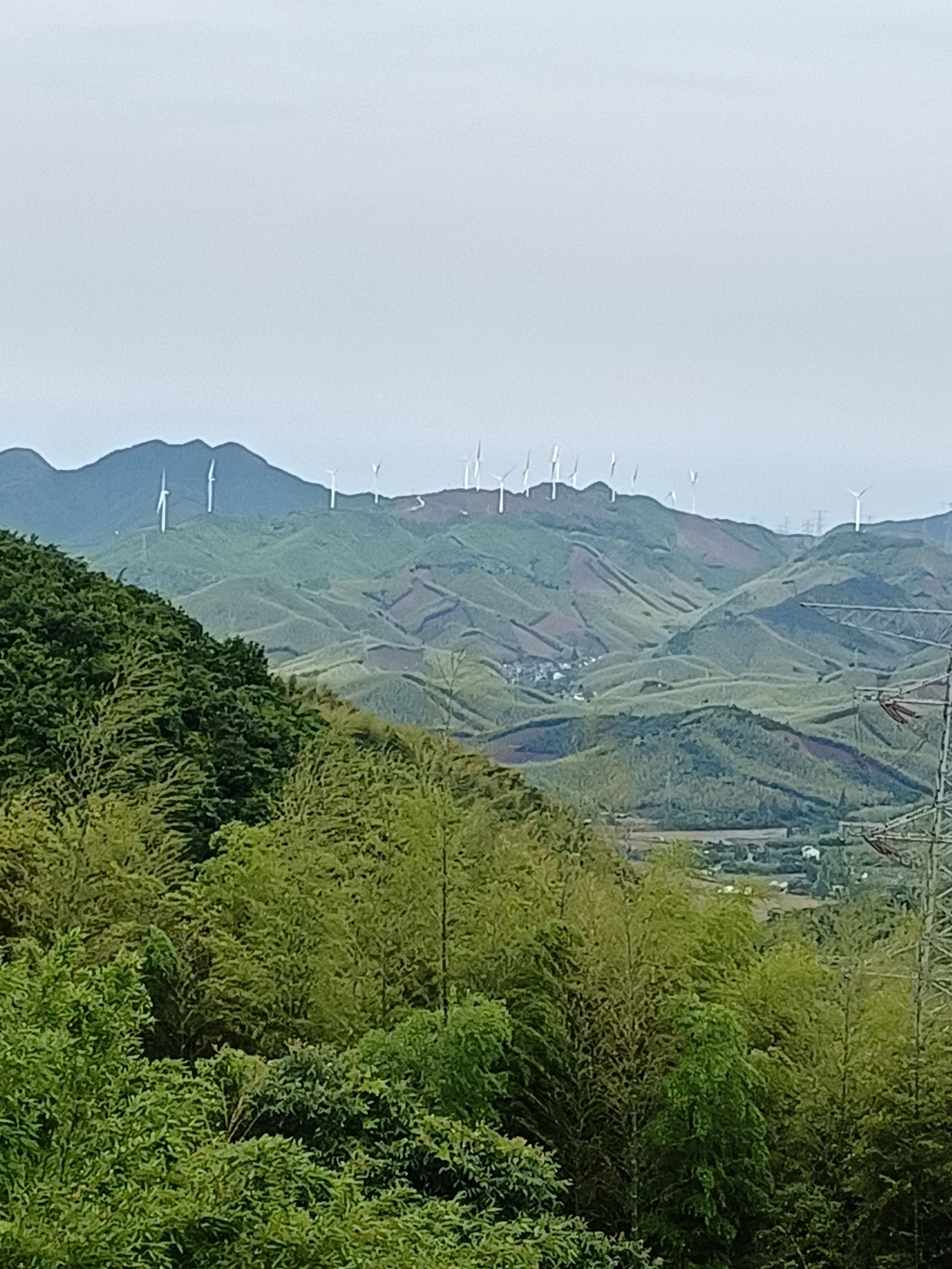 天字古道旅行图片 2
