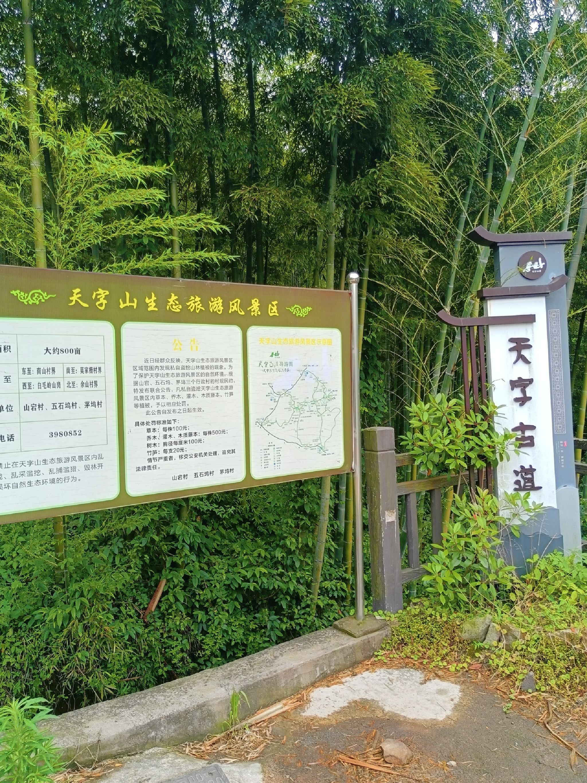 天字古道旅行图片 1