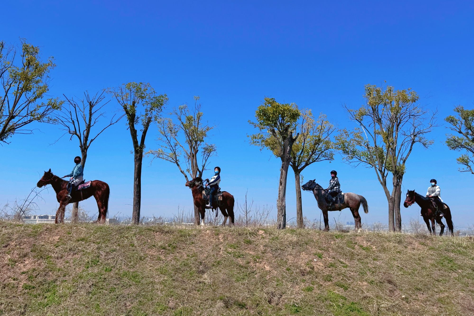 场地封面-启塬马术俱乐部