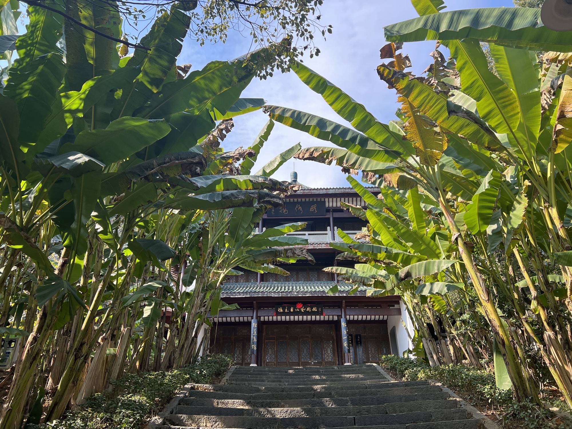 绿天蕉影旅行图片 1