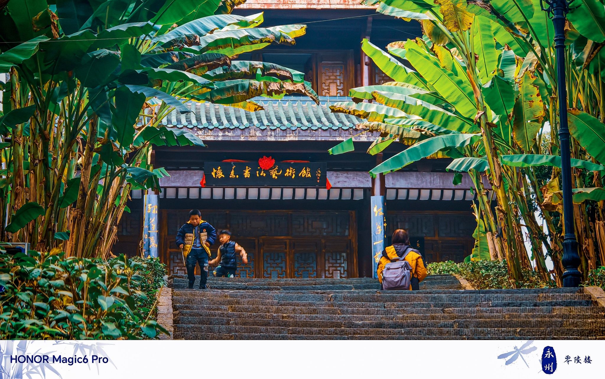 绿天蕉影旅行图片 2