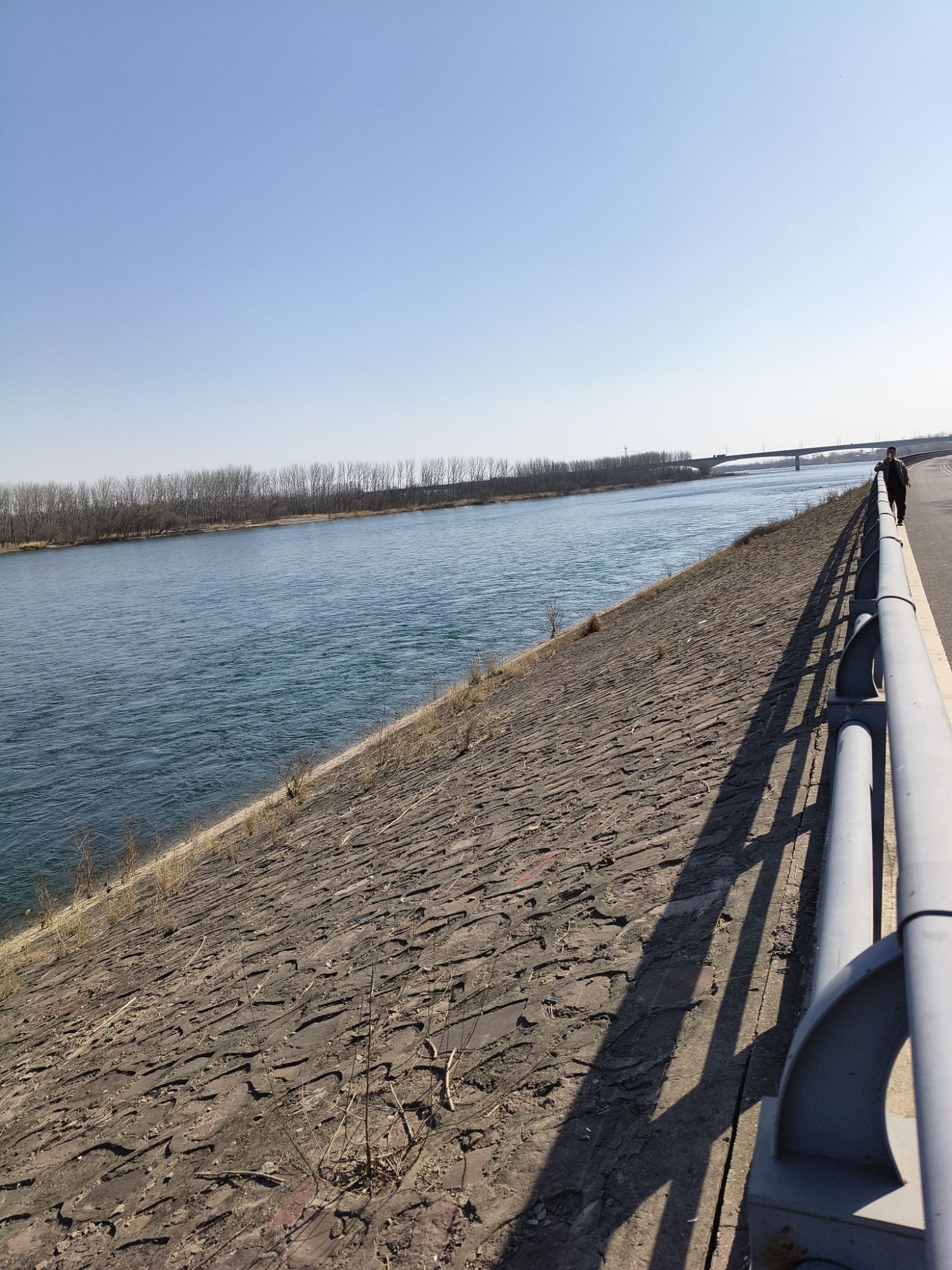 黄河石头滩旅行图片 2