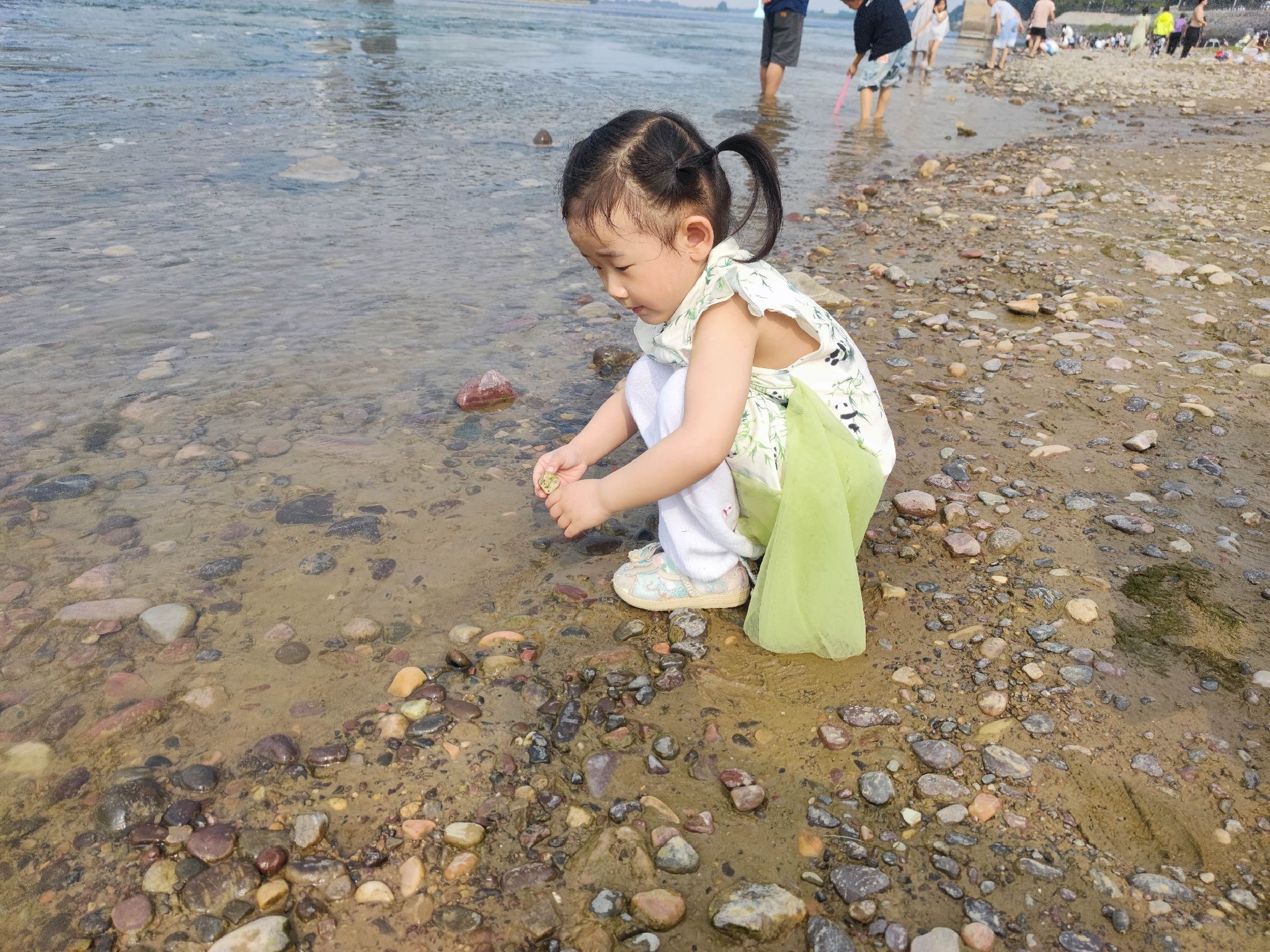 黄河石头滩旅行图片 1