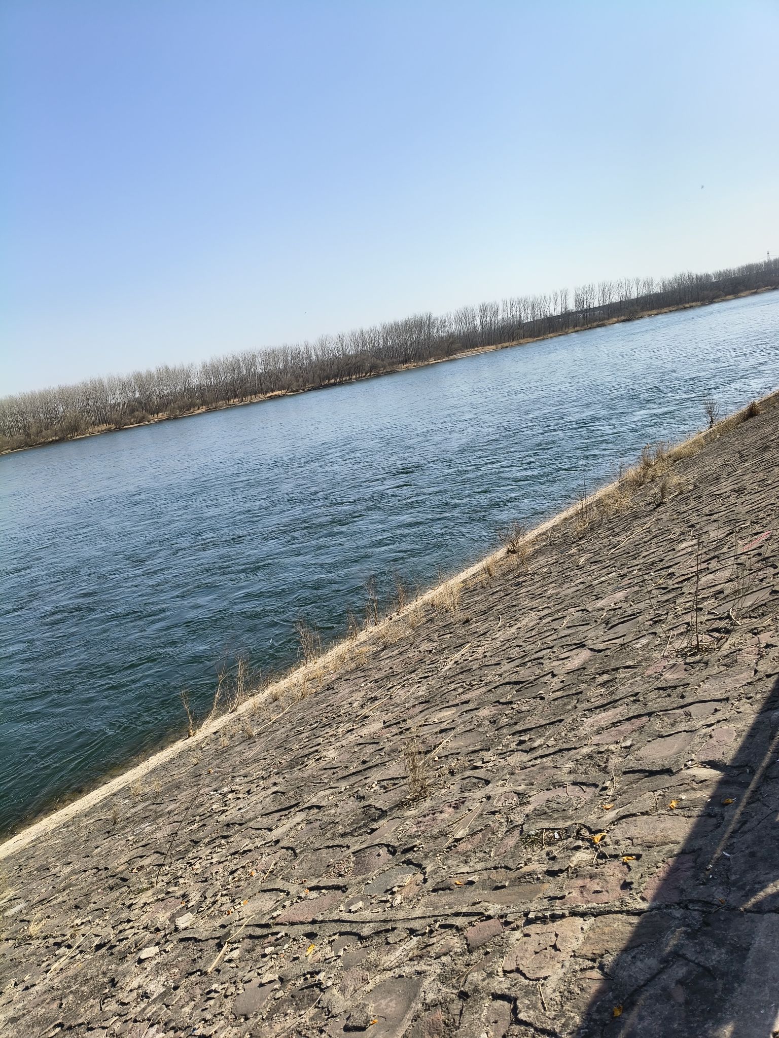 黄河石头滩旅行图片 1