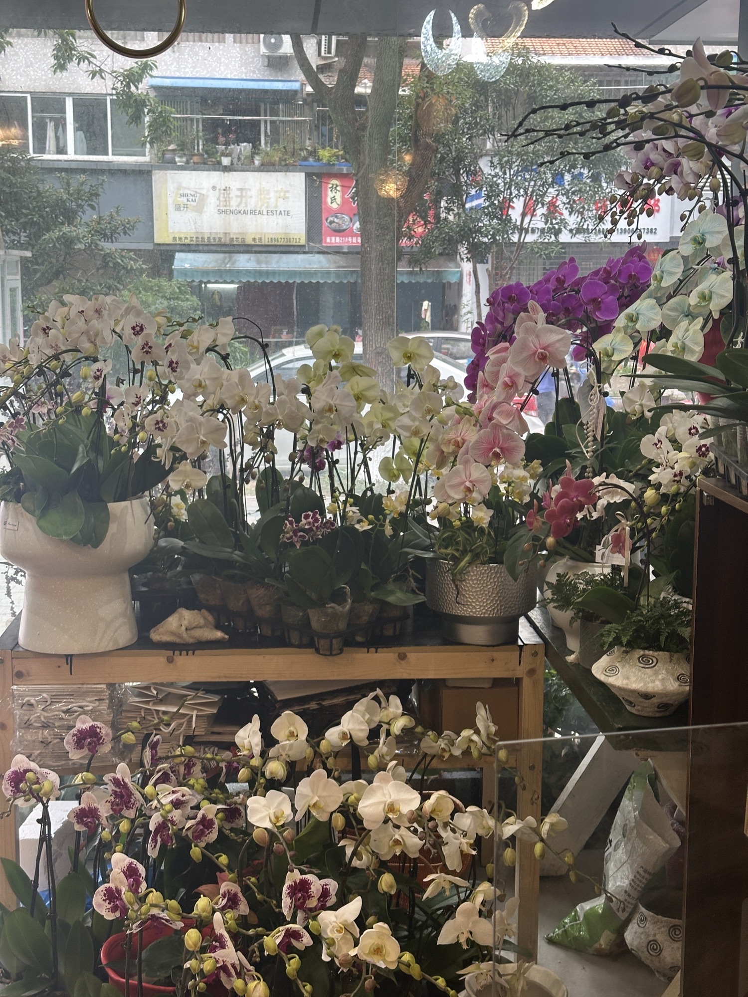 汤姆花坊