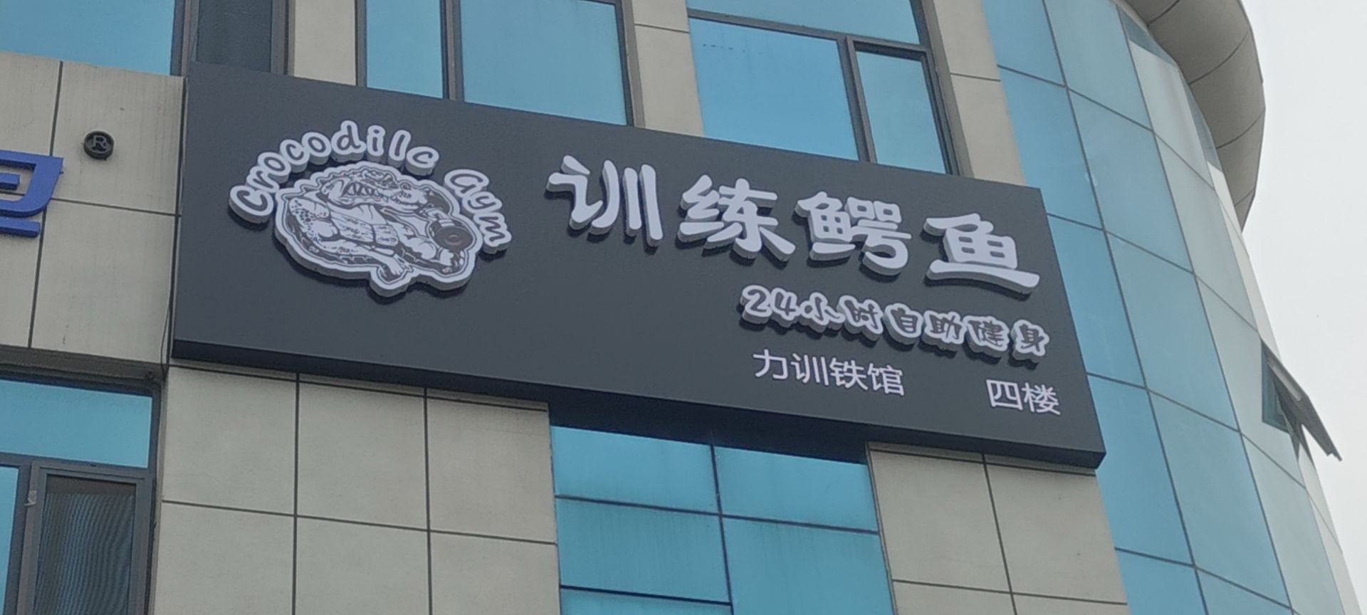 训练鳄鱼24小时自助健身力训铁馆