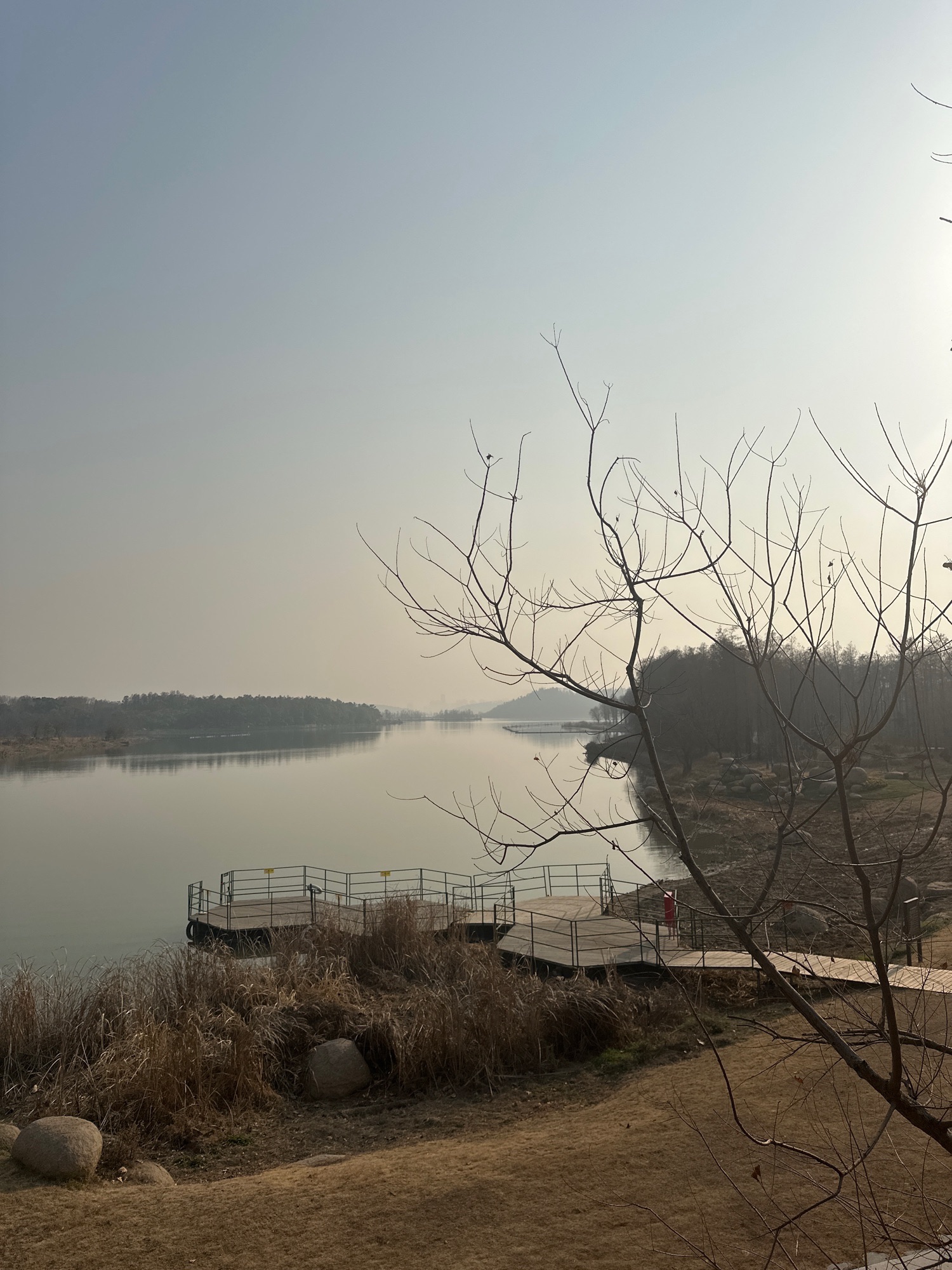 东湖生境雁岛旅行图片 2