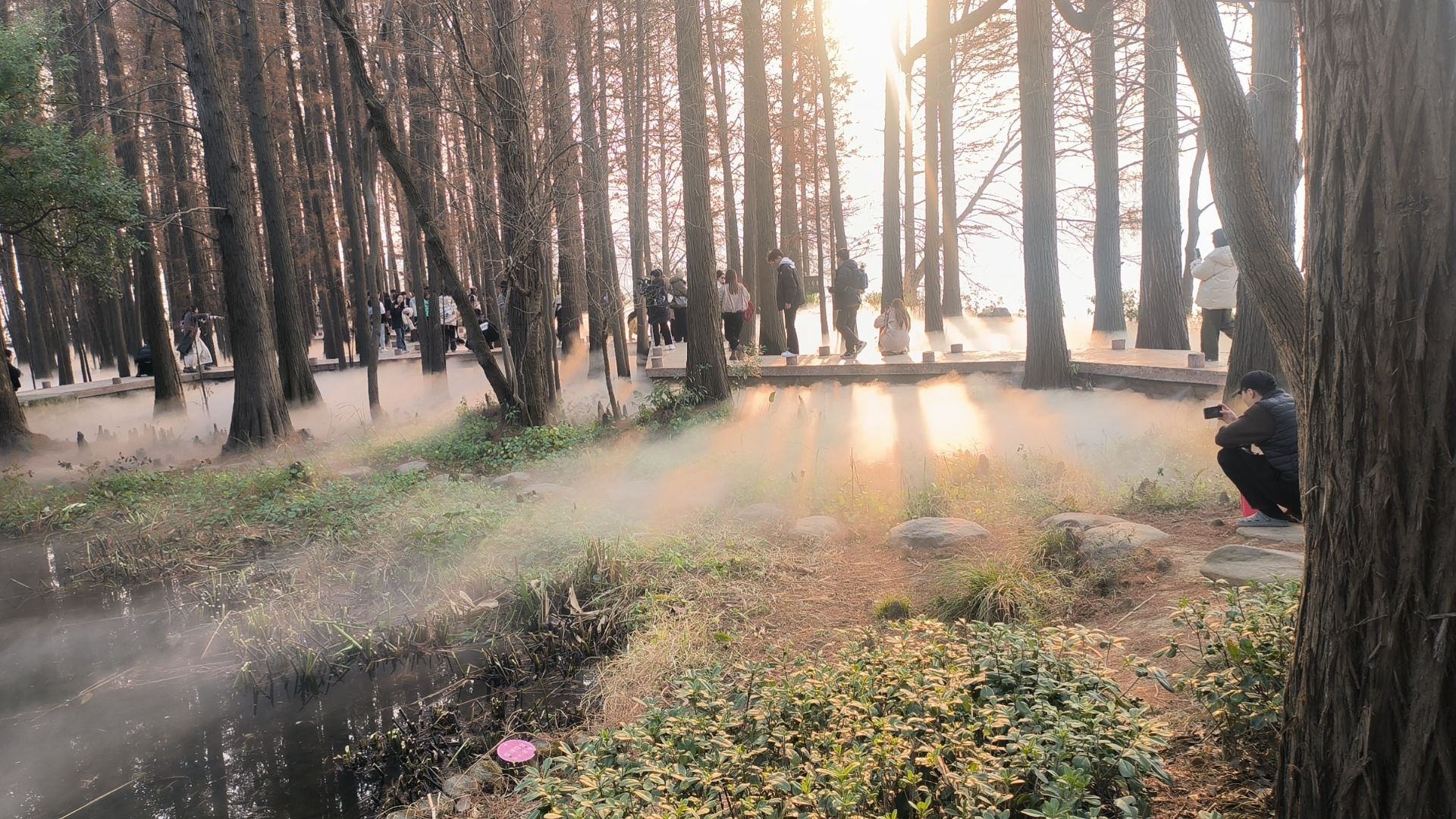 东湖生境雁岛旅行图片 3