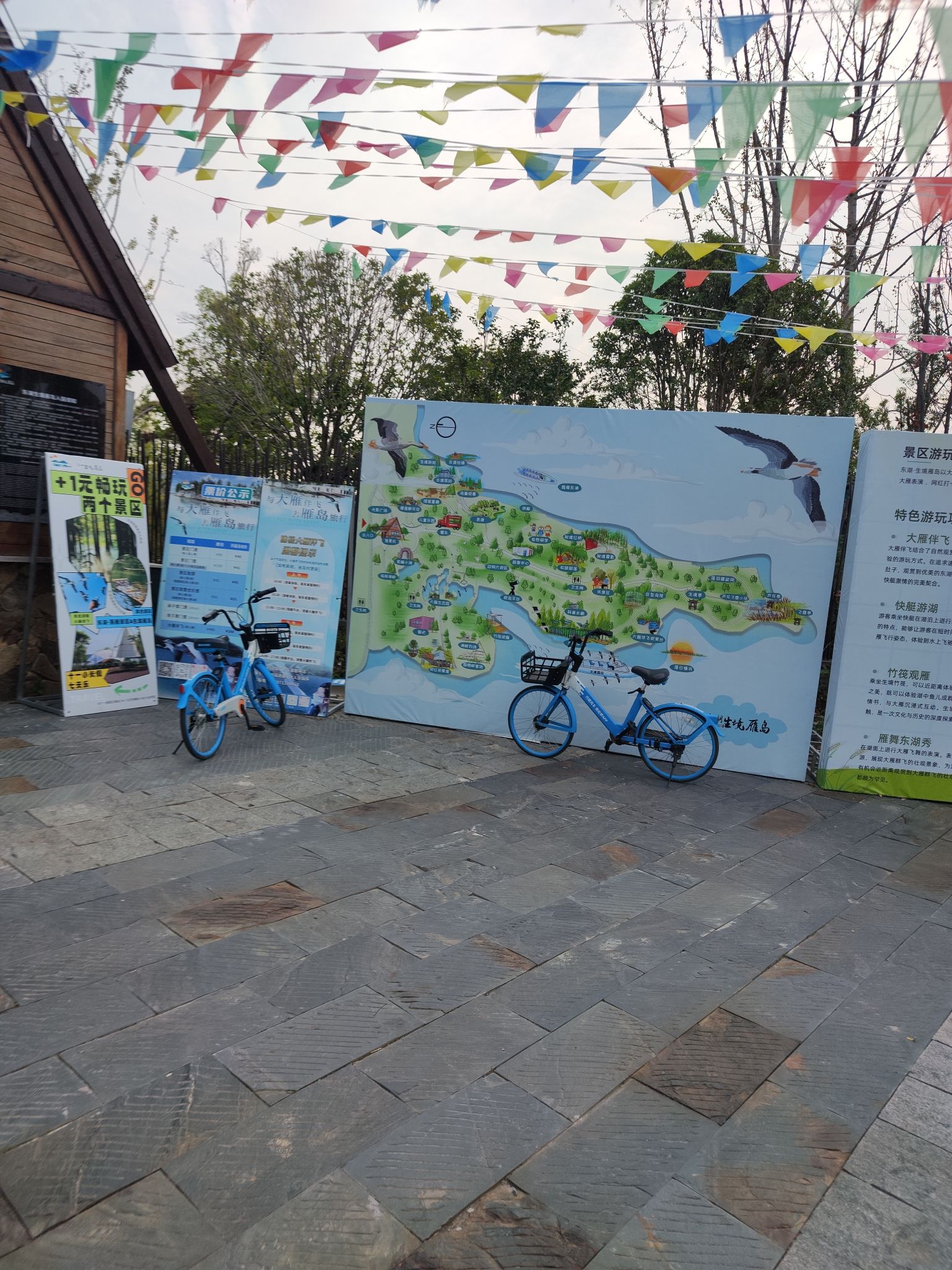 东湖生境雁岛旅行图片 2