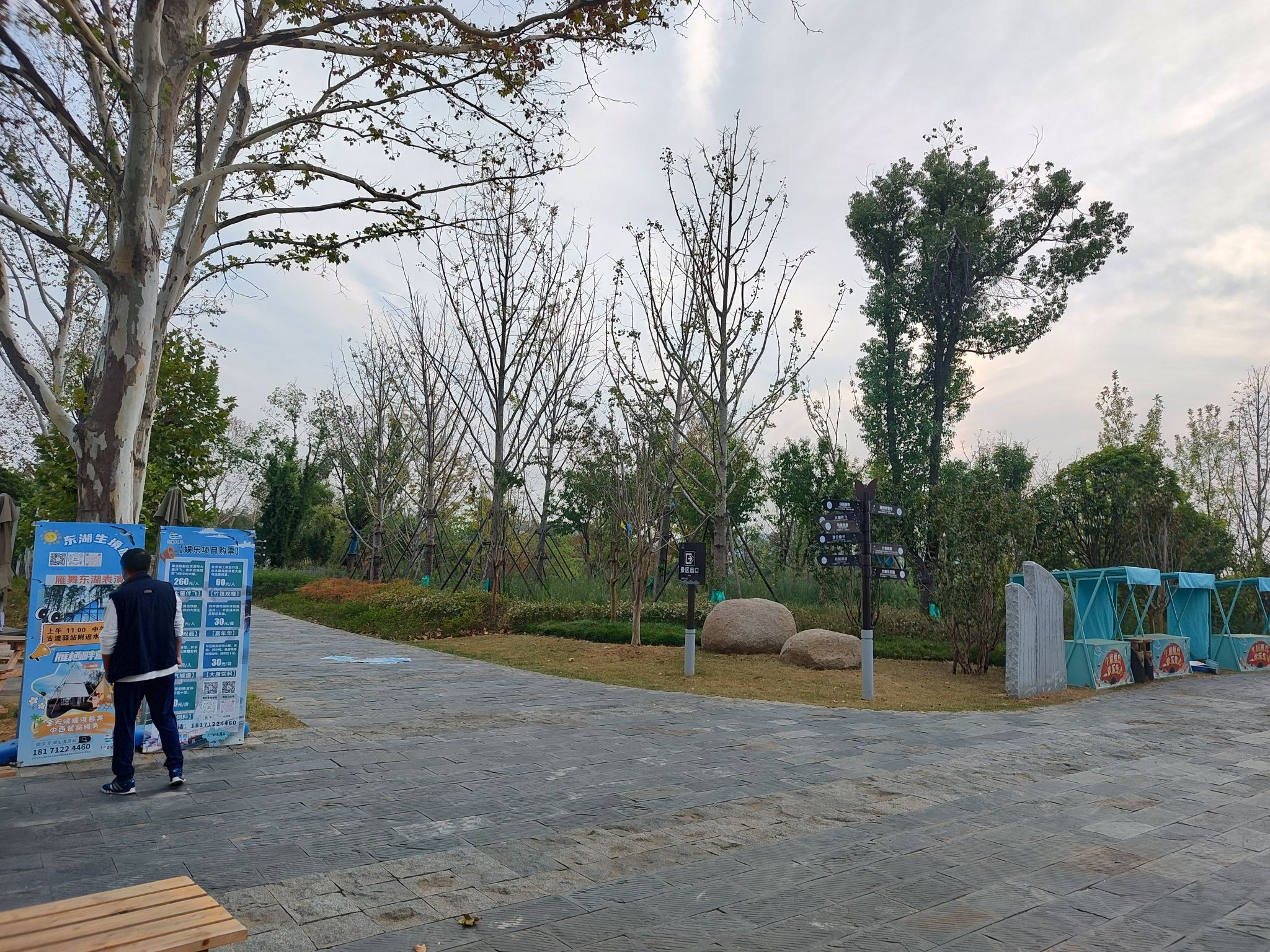 东湖生境雁岛旅行图片 3