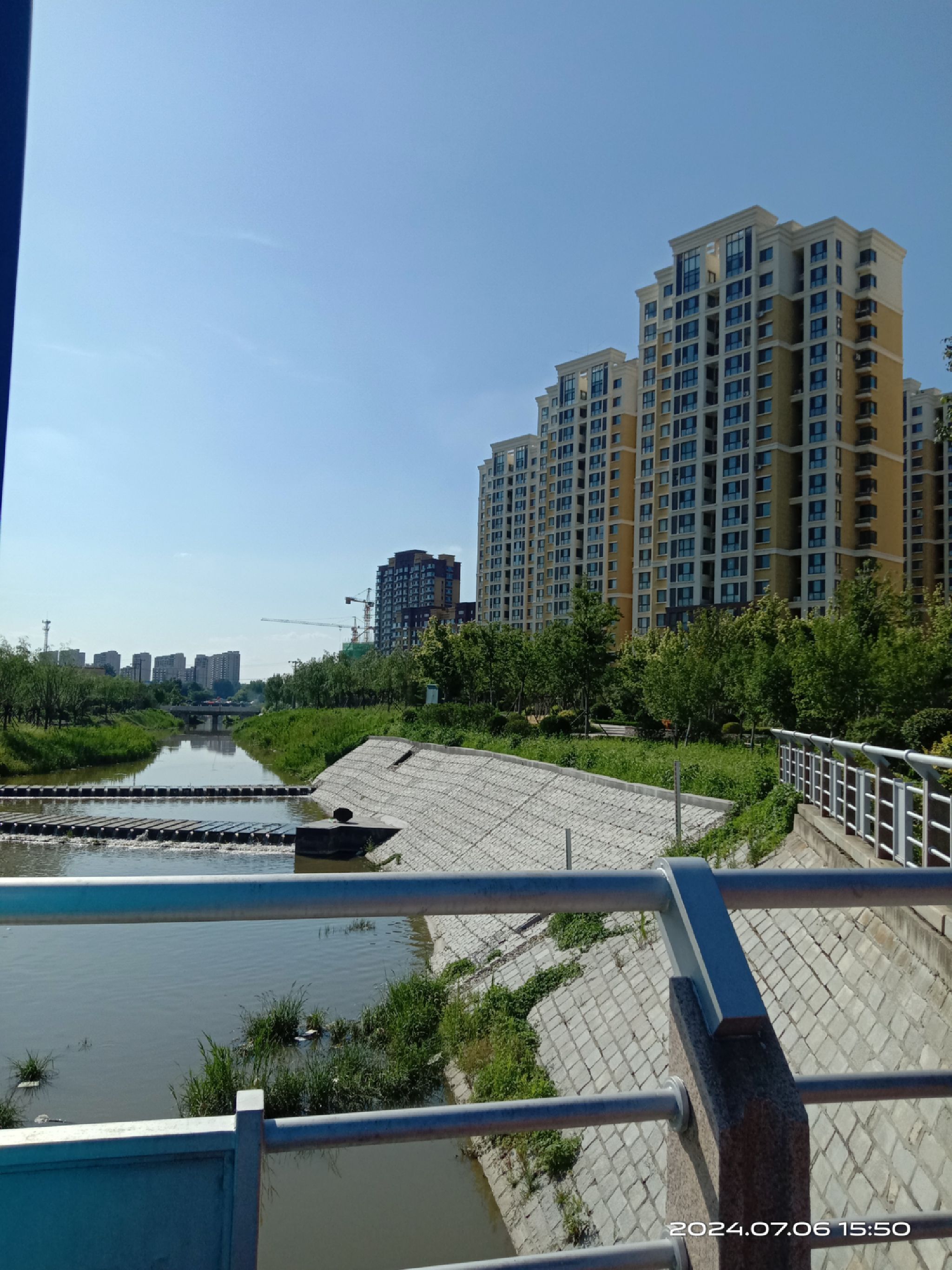 老现河生态廊道旅行图片 1