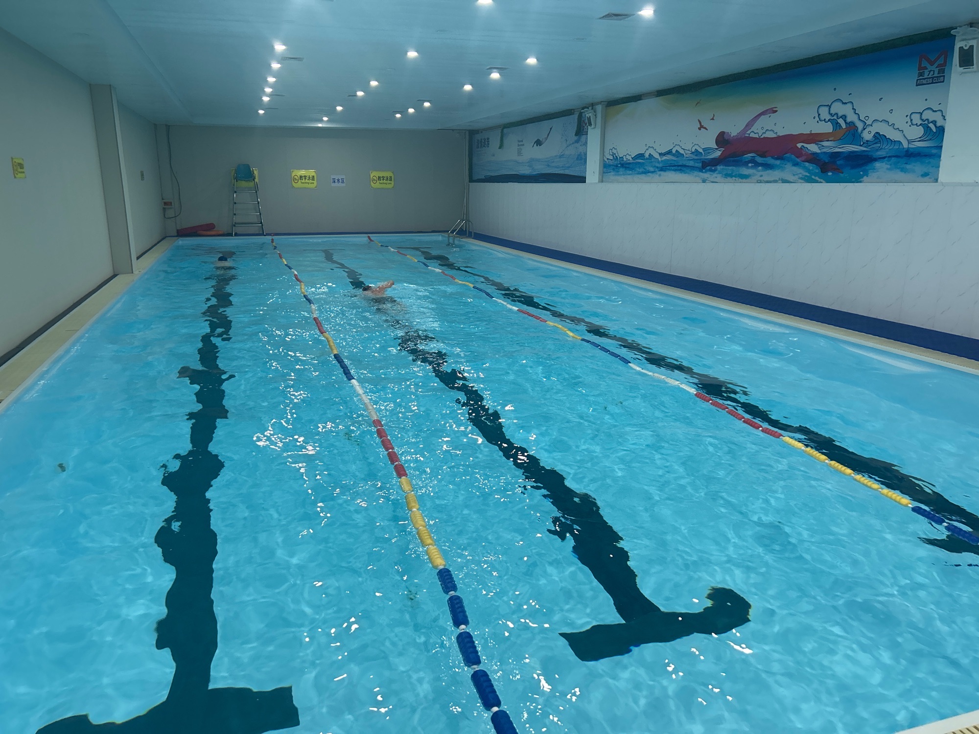 场地封面-泳腾之星运动馆(龙江店)