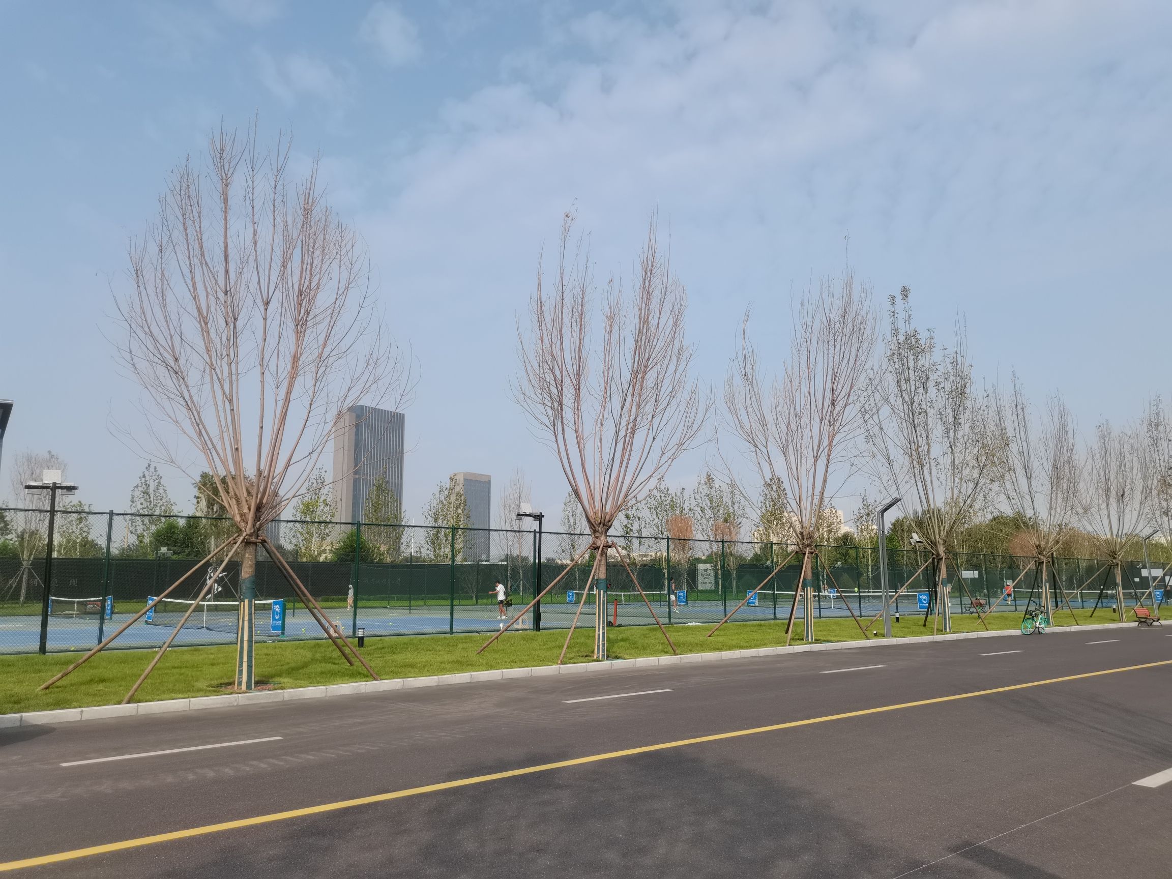 龙曜城体育公园旅行图片 3