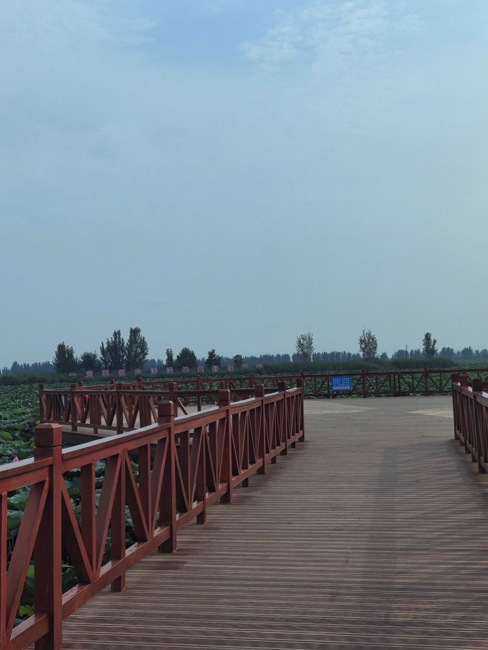 雄安燕南堤公园旅行图片 3