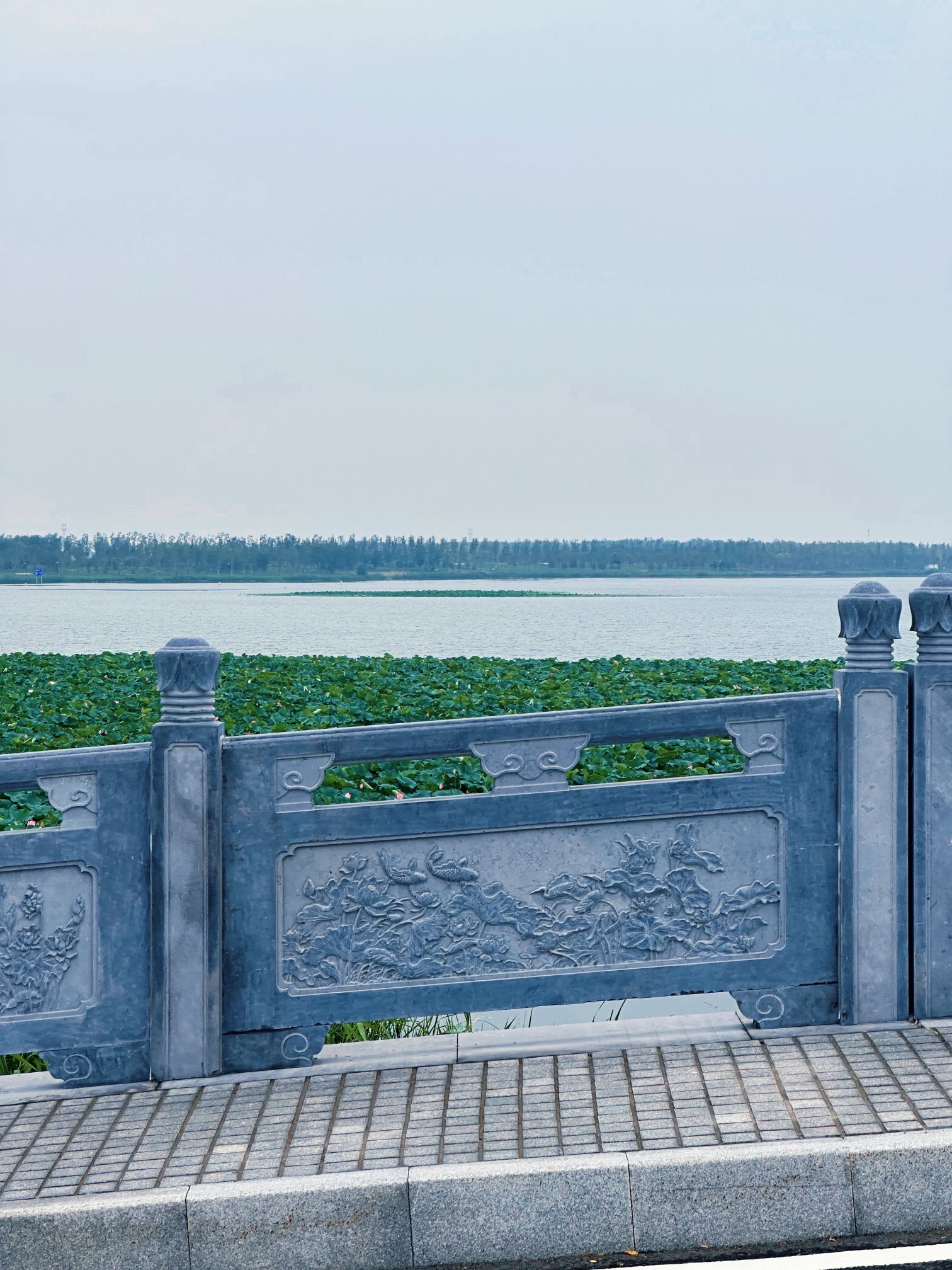 雄安燕南堤公园旅行图片 3