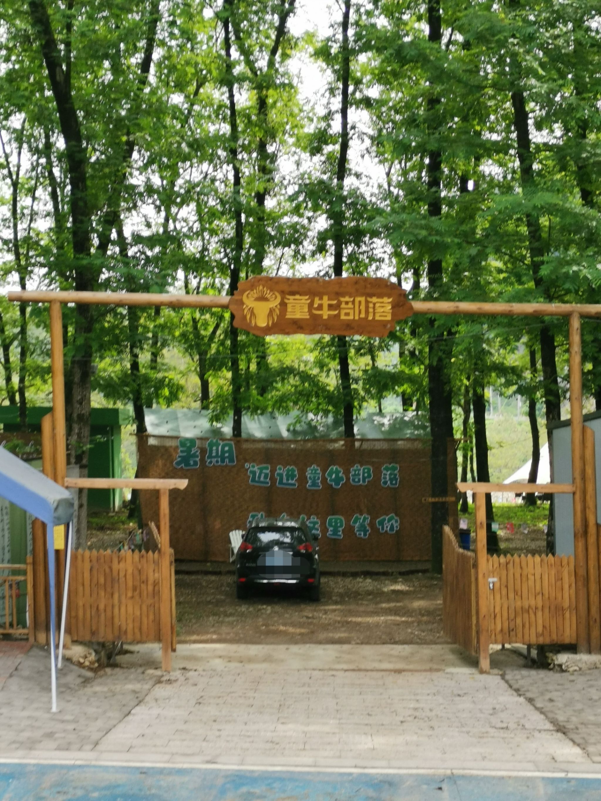 童牛部落旅行图片 1