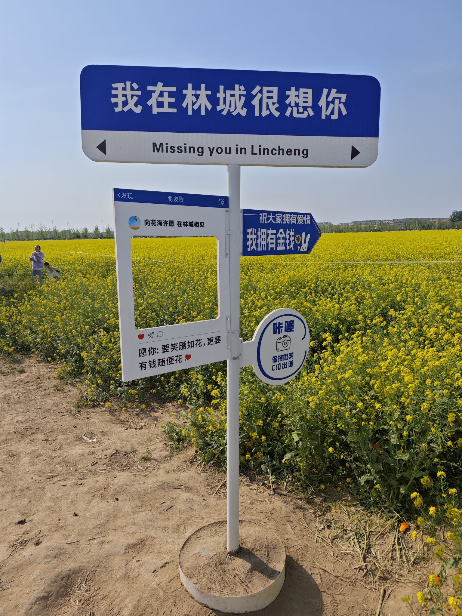 林城油菜花海旅行图片 3